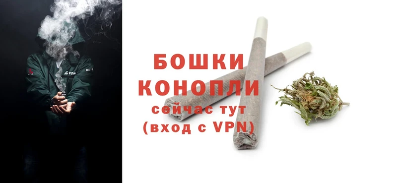 купить наркотик  Камешково  ссылка на мегу ONION  Конопля White Widow 